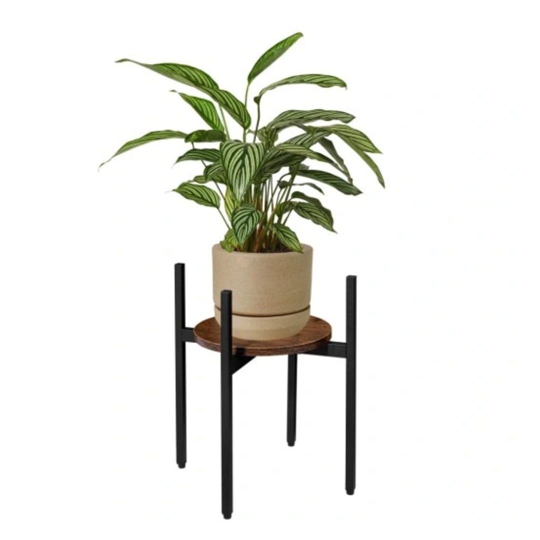 Pidestall, grønn stueplante i lys keramikkpotte plassert på pidestall med sorte metallben og treplate.