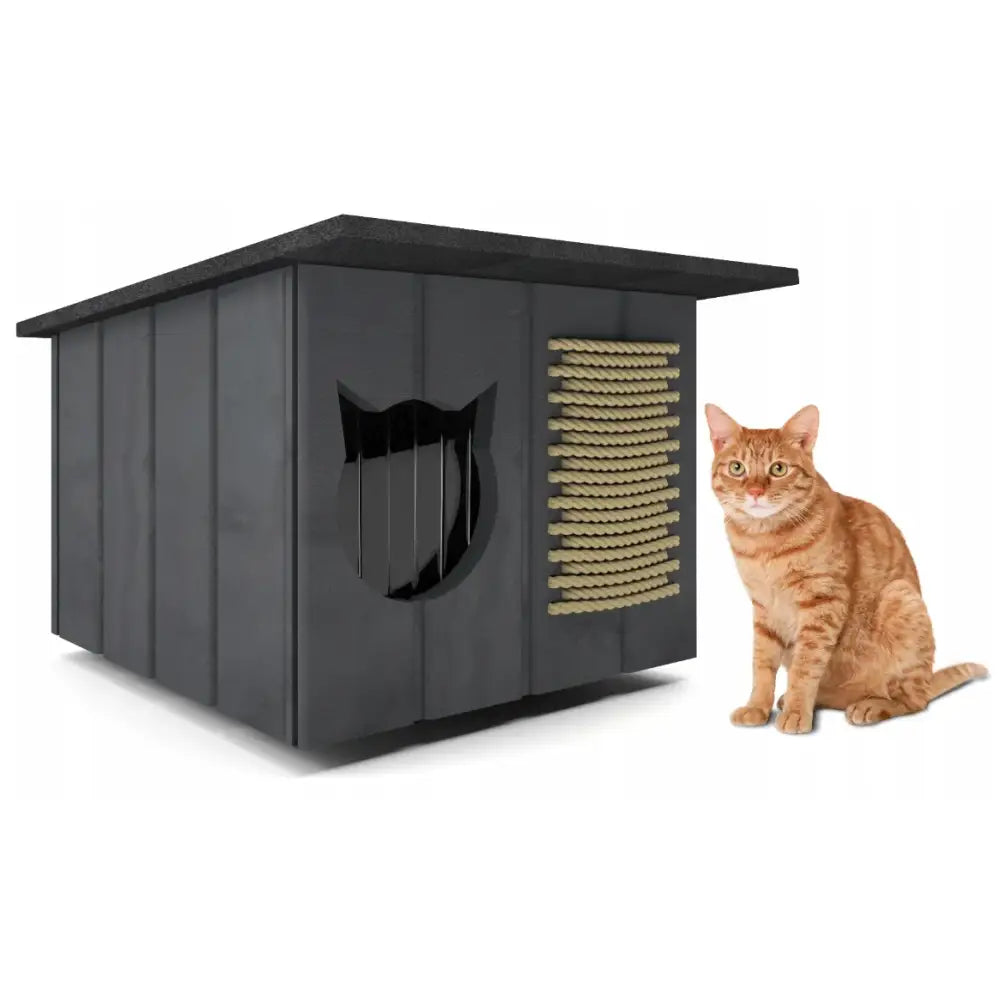 Katteseng, sort trekantet kasse med kattformet åpning og sisaltau på siden, oransje katt ved siden av.