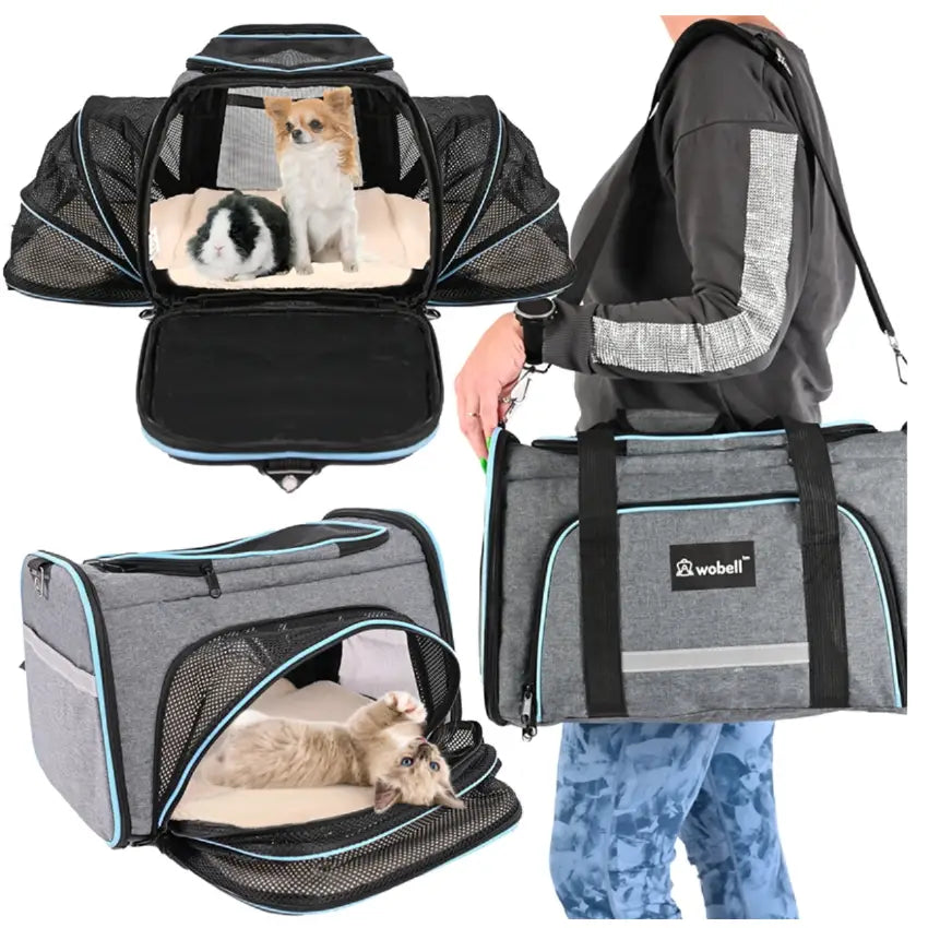 Kattebur, grå bærebag med nettingvinduer, lyseblå detaljer og katt inni, bæres av en person.