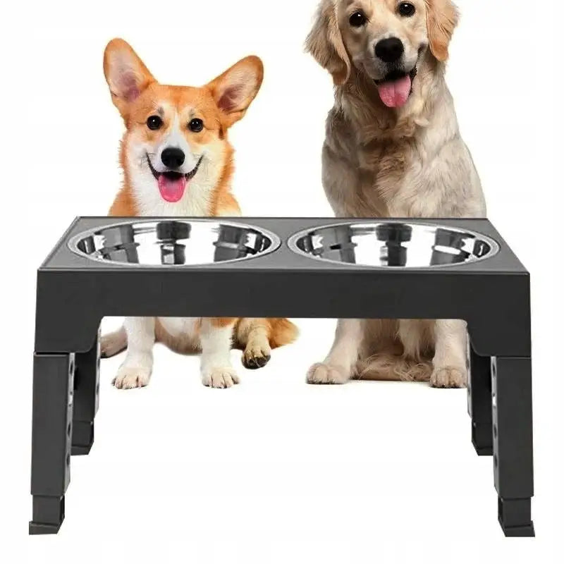 Matskål Hund, to hunder sitter bak en sort stativ med to blanke, runde matskåler i metall.
