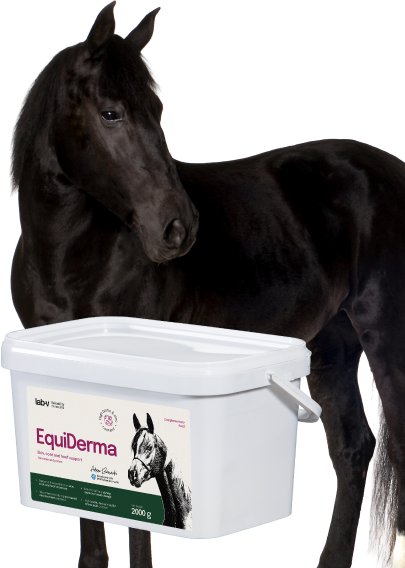 Hestefôr for hud, pels og hover vises foran en svart hest, med hvit bøtte og illustrert etikett på produktet.