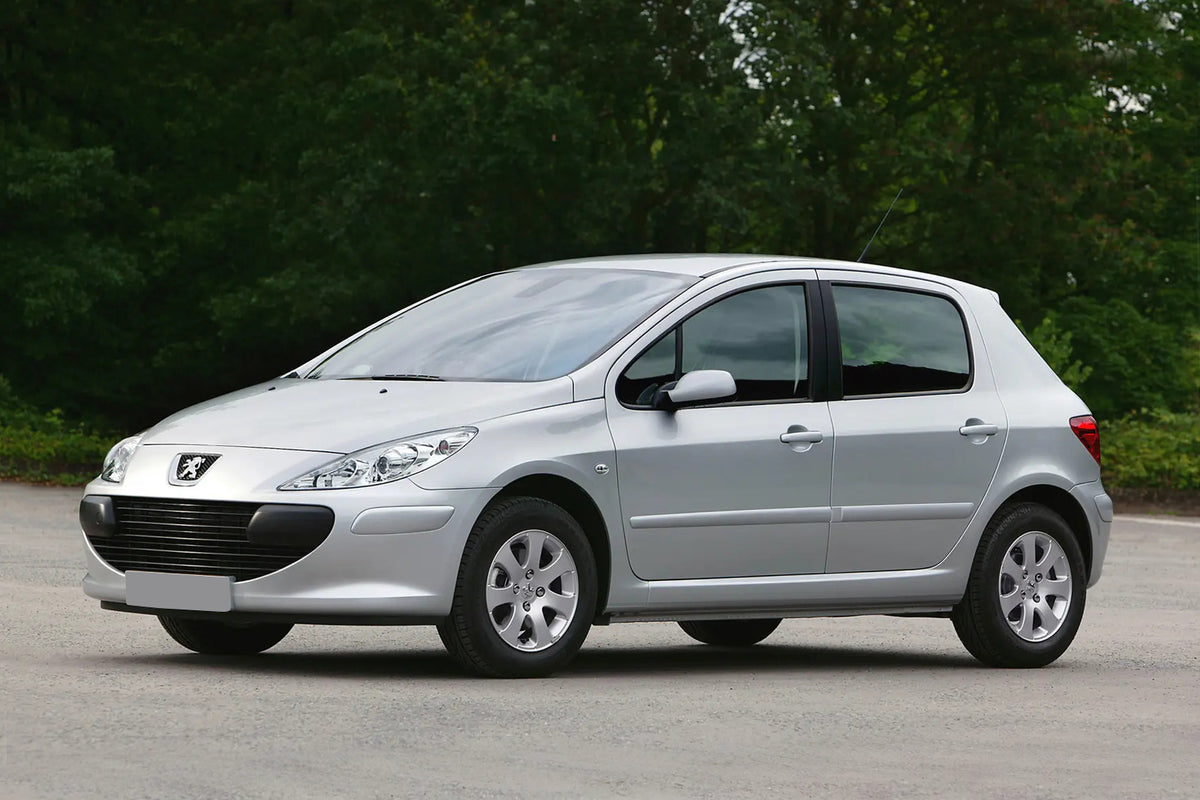 Skvettlapp Peugeot 307 (2001-2008) – ABS - detaljer