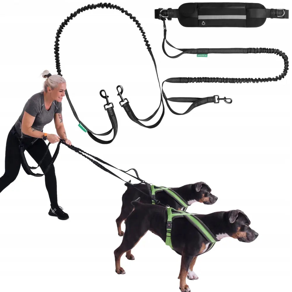 2X Dobbelt Elastisk Bånd Hoftesekk for Løping, demonstrert i bruk med to hunder i grønne seler og som separat båndsystem.