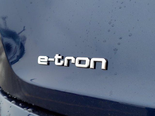 Emblem Audi 50 e-tron Bakluke Silver Edition - detaljer