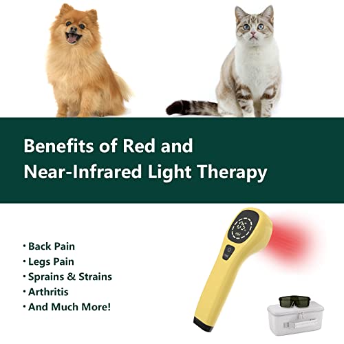 Laserterapi for dyr med gul håndholdt enhet, rødt lys, briller, eske, hund, katt og engelske fordeler.