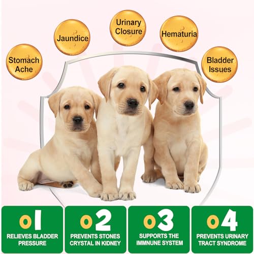 Hundesnacks tre lysebrune valper foran hvitt skjold med oransje sirkler, grønne bokser med tekst og ikoner nederst.