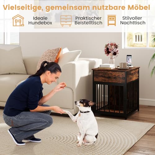 Hundegård Innendørs med sort og brunt bur og bord, kvinne trener liten hund foran møbelet, sofa og pynt i bakgrunnen.
