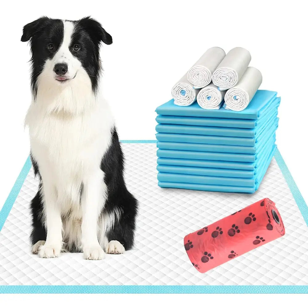 Absorberende underlag og matter, svart og hvit hund på hvit matte med blå kant, rull røde poser og sammenrullede underlag ved siden av.