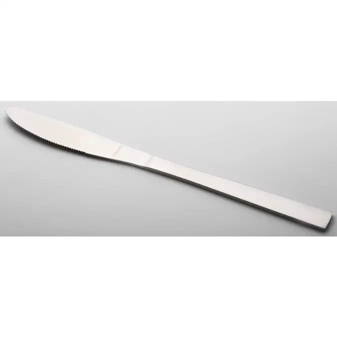 Amefa Padova kniv i rustfritt stål, skrå vinkel viser rett håndtak og tagget blad på lys bakgrunn.