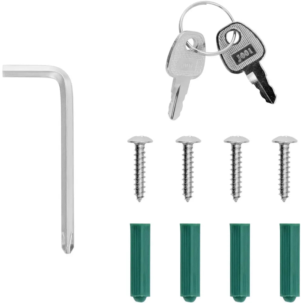 To nøkler på ring, umbrakonøkkel, fire sølvskruer og fire grønne plugger til desinfeksjonsstasjon, på hvit bakgrunn.