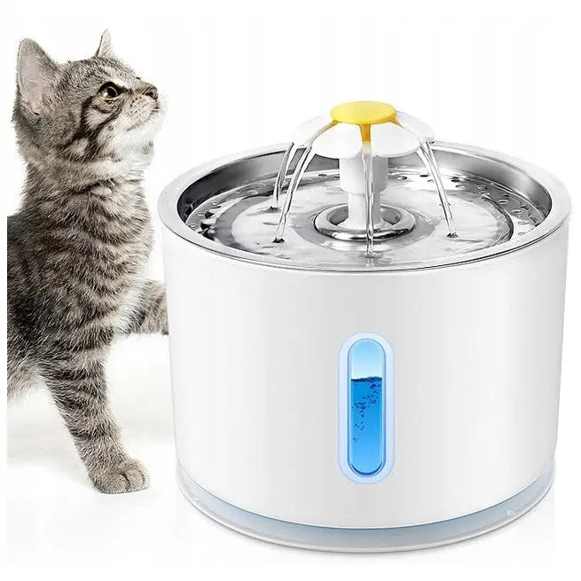 Automatisk drikkefontene for katt og hund i hvit plast, blått vindu, grå katt undersøker rennende vann fra siden.