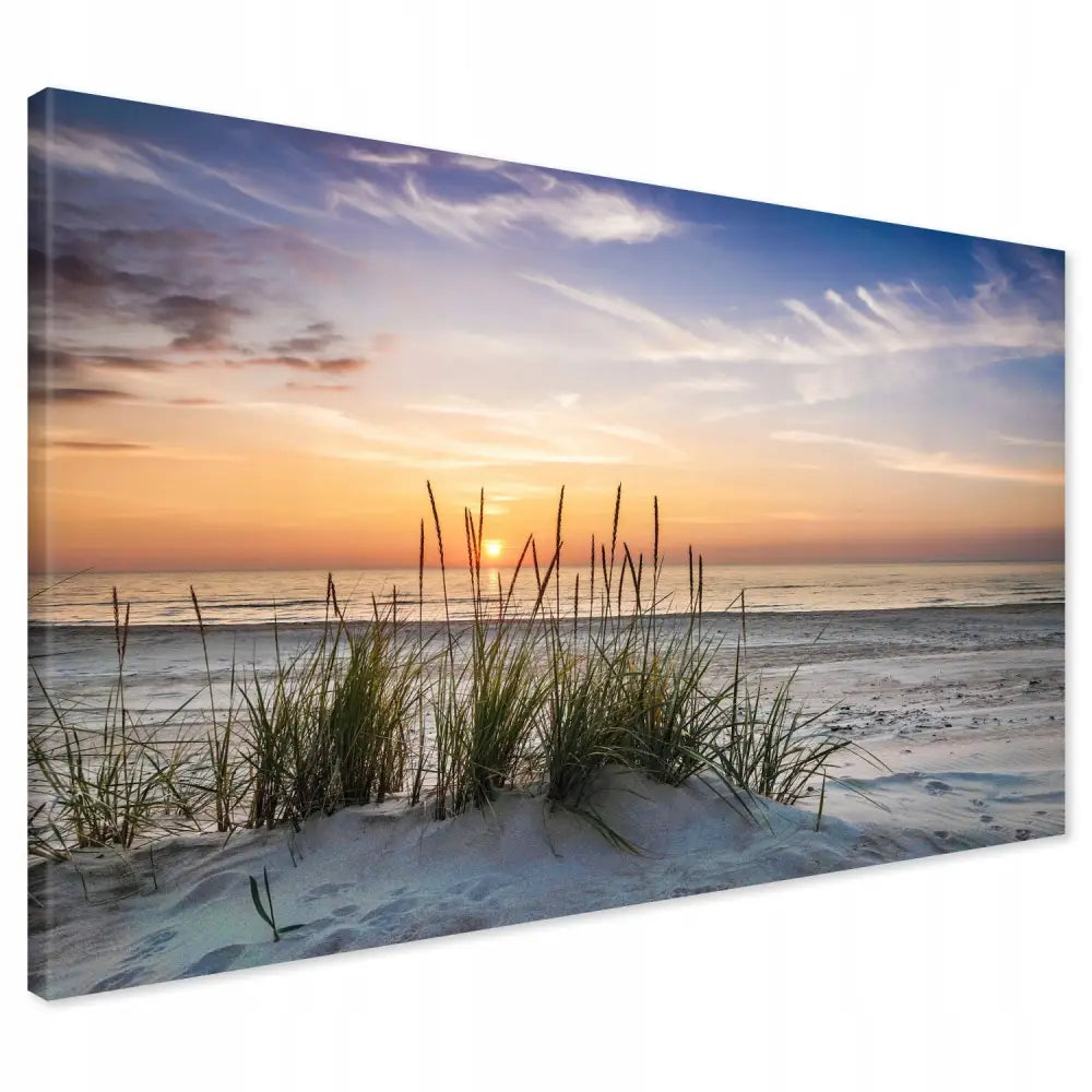 Lerretsbilde med strandgress og sanddyner ved solnedgang, sett fra siden med synlige bildekanter.