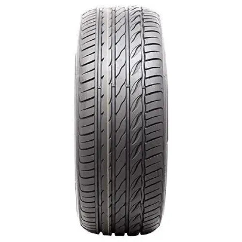 Billige Dekk Delmax Performpro 225/55 R19 99 w
