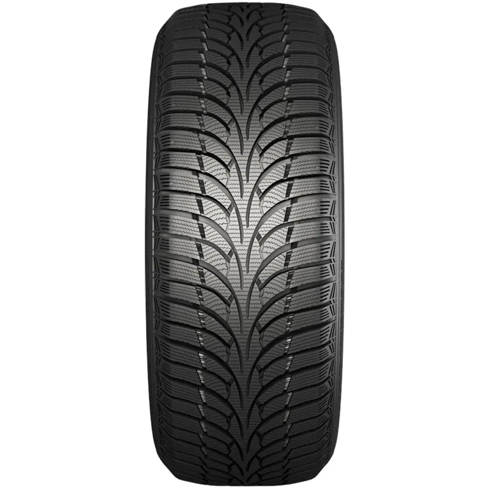 Billige Dekk Nankang Winter Activa Sv-3 285/45 R19 111 v