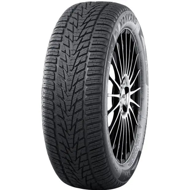 Billige Dekk Nankang Winter Activa Sv-4 235/60 R18 107 v Xl