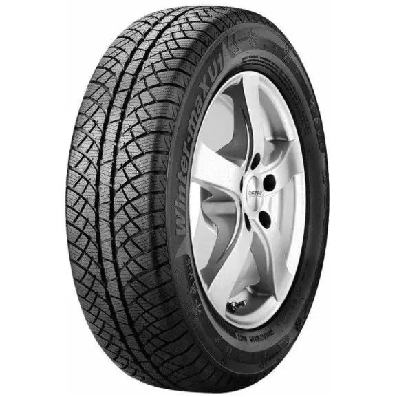 Billige Dekk Sunny Wintermax Nw611 195/65 R15 91 h