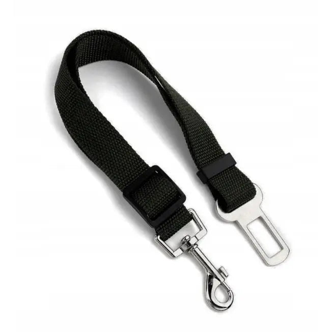 Bilsele for hund i mørkegrønt nylon med svart spenne, sølvkrok og metallfeste for bilbelte, sett på hvit bakgrunn.