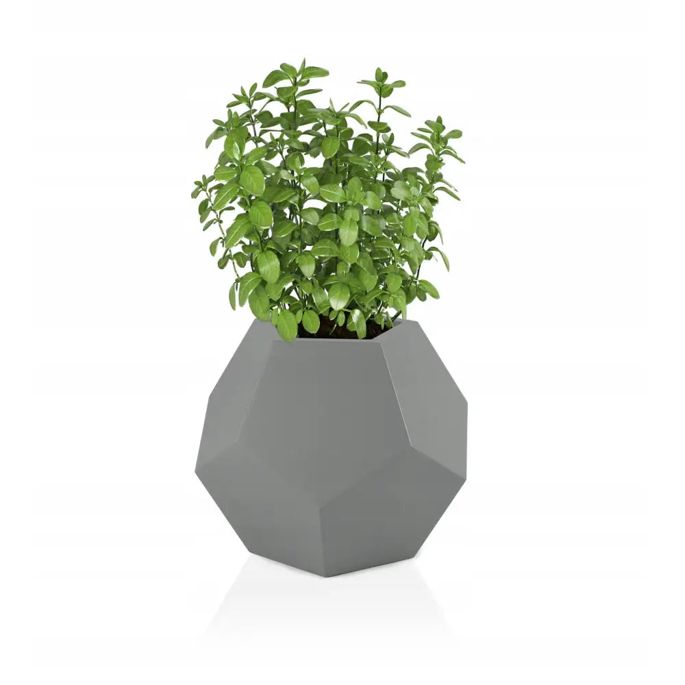 Blomsterpotte Alma Grå (full Kapasitet)