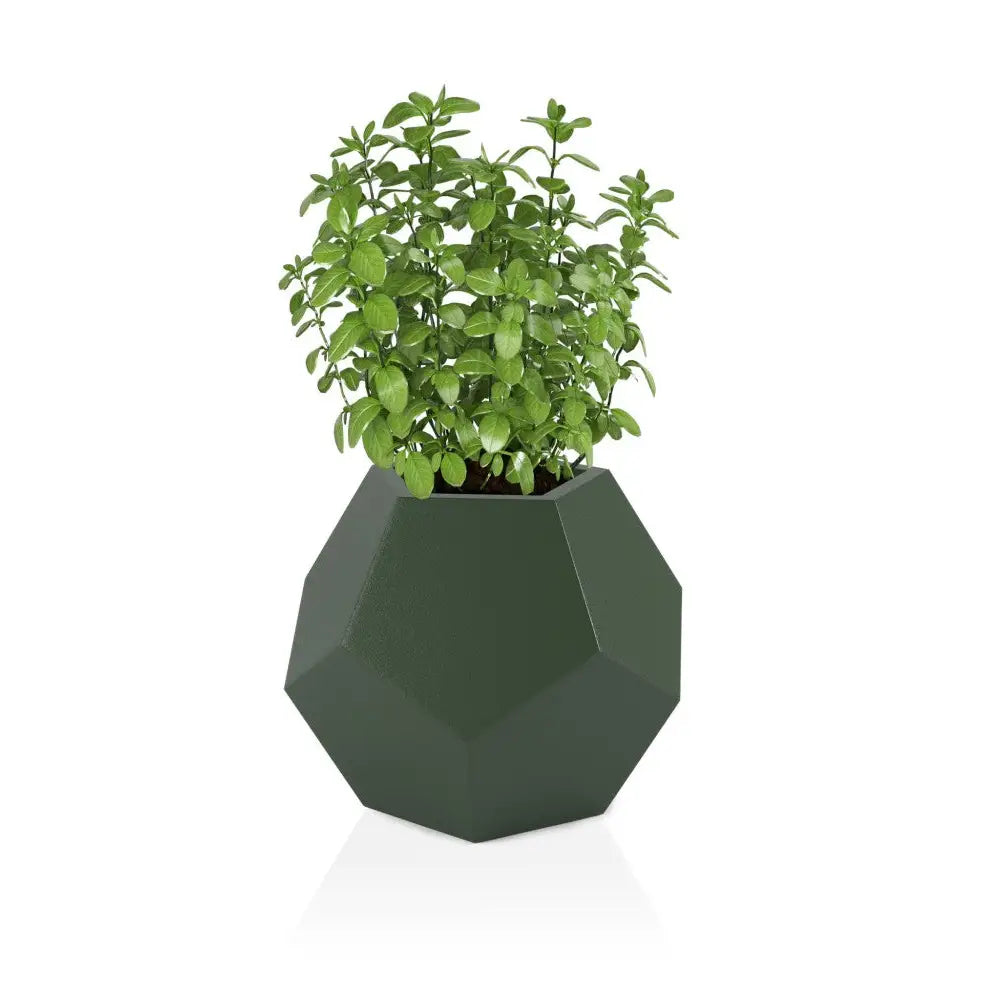 Blomsterpotte Alma Grønn (full Kapasitet)