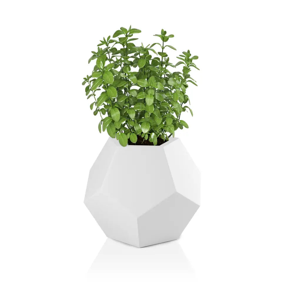 Blomsterpotte Alma Hvit (med Indre Hylle)