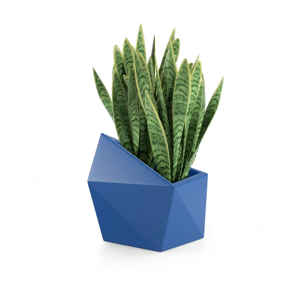 Blomsterpotte Astro Blå (full Kapasitet)