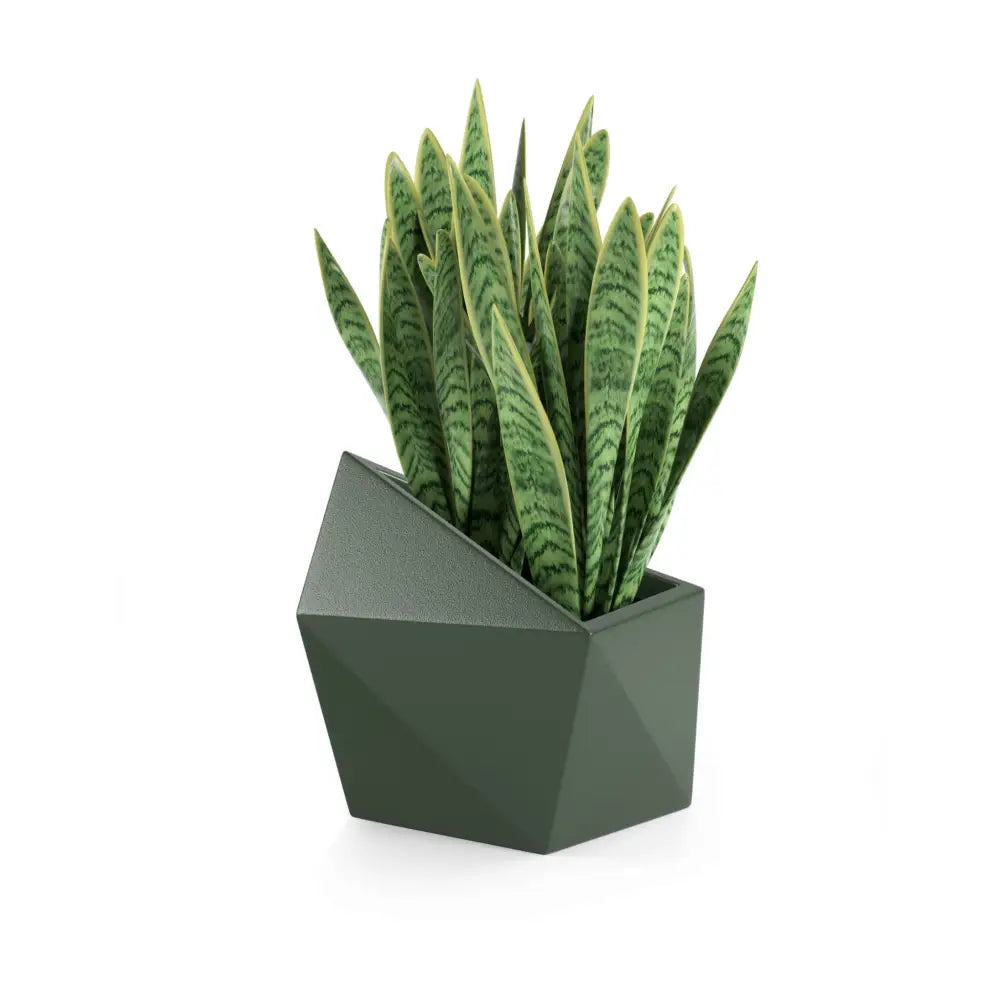 Blomsterpotte Astro Grønn (full Kapasitet)