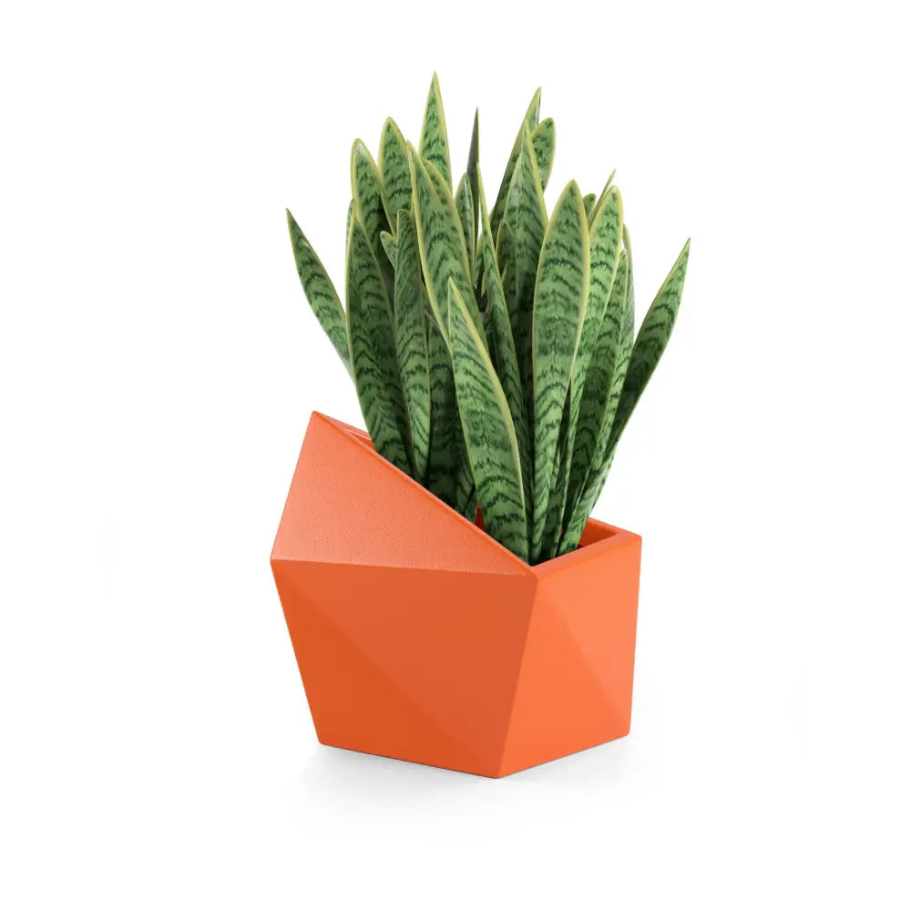 Blomsterpotte Astro Oransje (full Kapasitet)