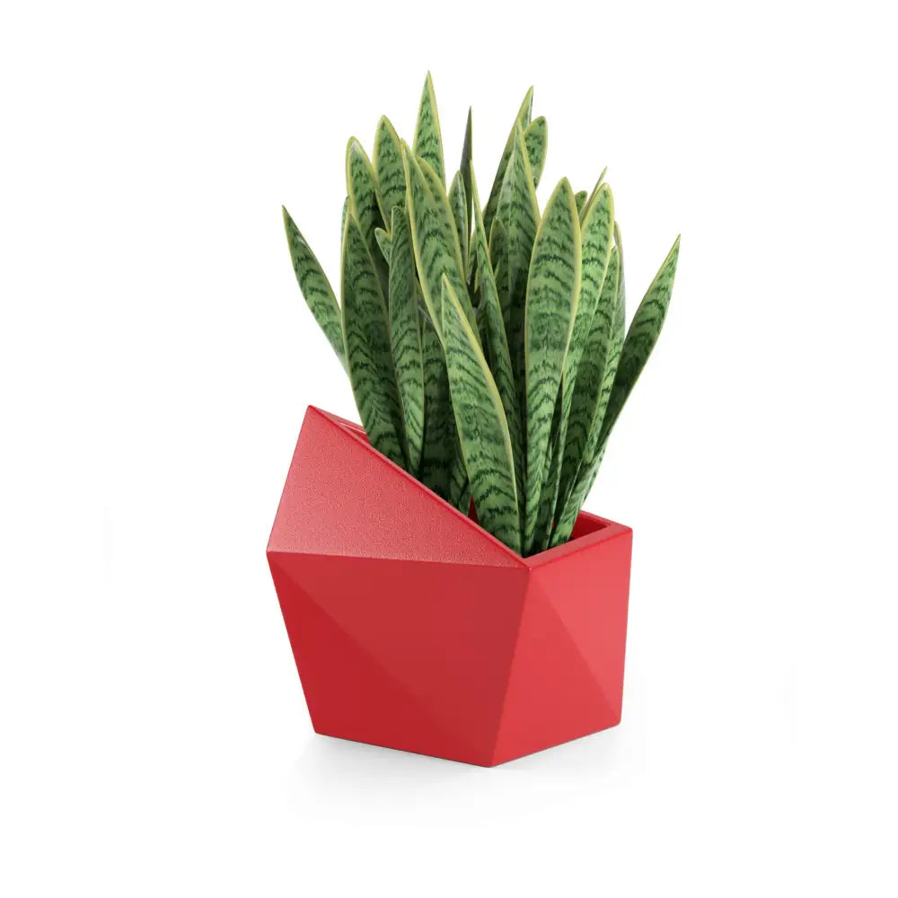 Blomsterpotte Astro Rød (full Kapasitet)