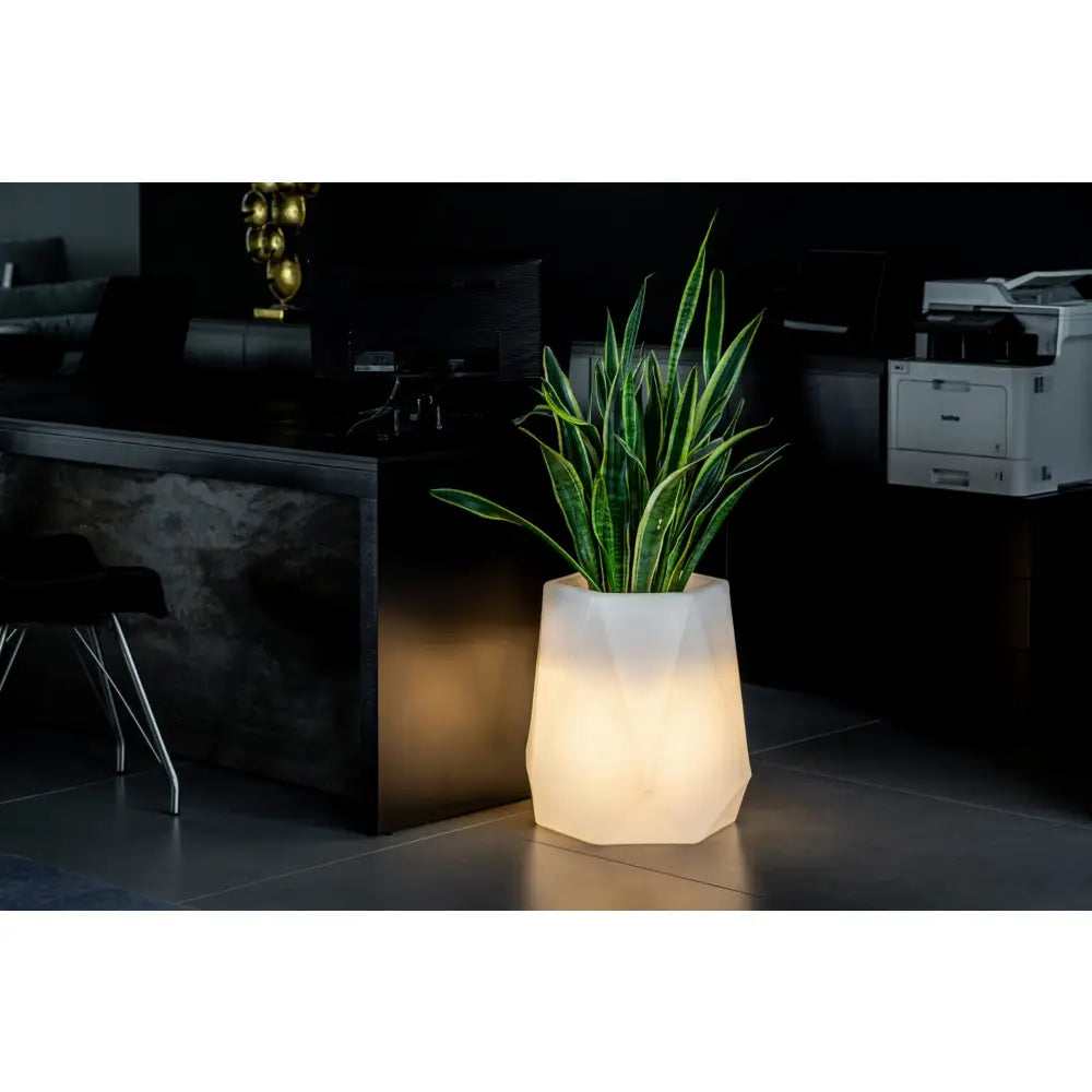 Blomsterpotte Belyst Flavi Light Rgb-pære (hvit Innendørskabel)