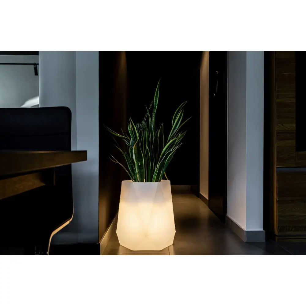 Blomsterpotte Belyst Flavi Light Rgb-pære (hvit Innendørskabel)