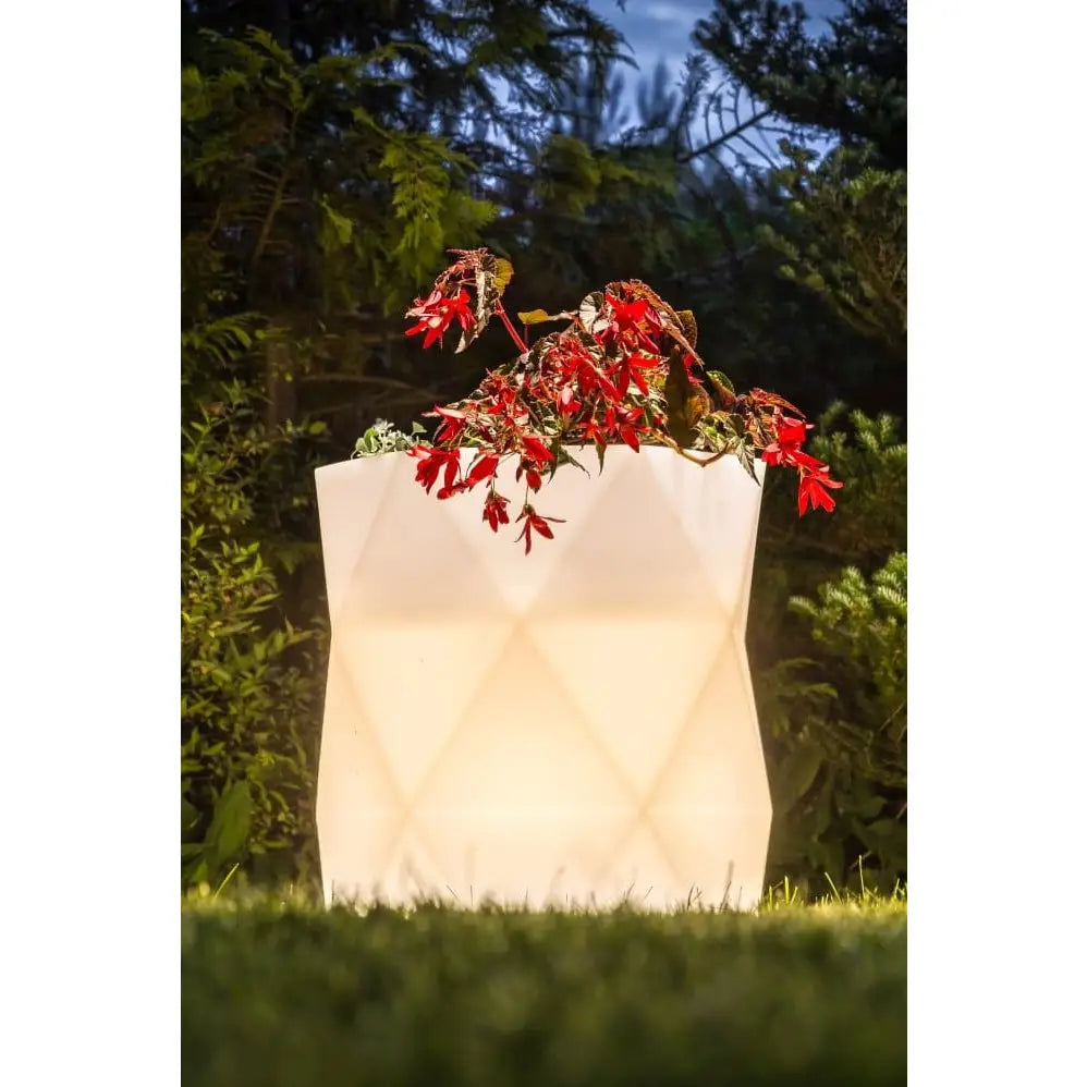 Blomsterpotte Belyst Modena Light Rgb-pære (hvit Innendørskabel med Bryter)