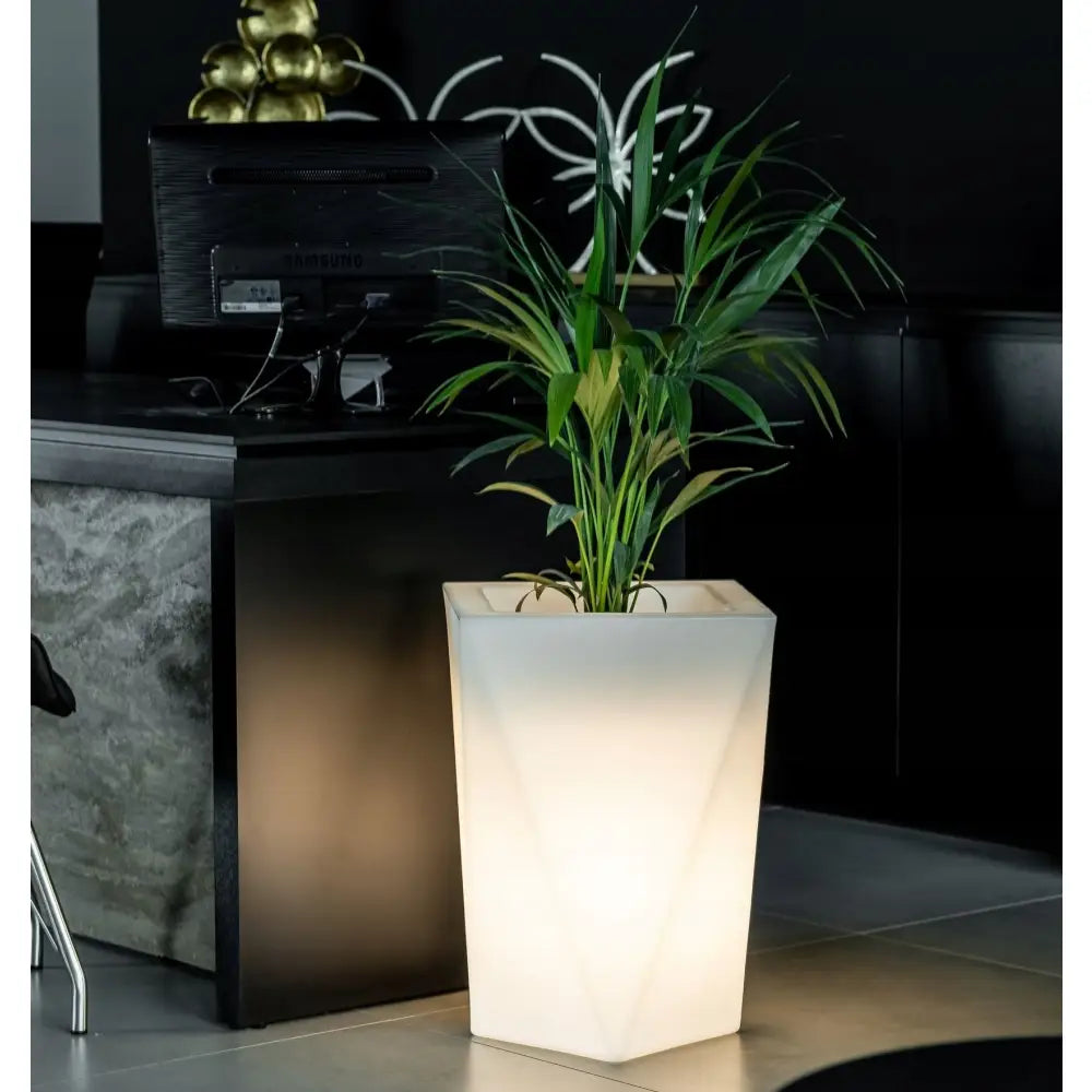 Blomsterpotte Belyst Vaso Light Varmt Lys (svart Kabel)
