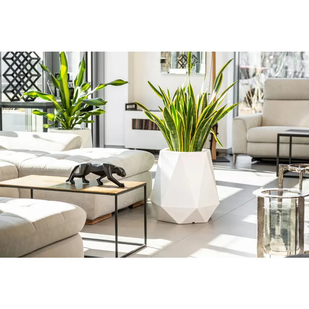 Blomsterpotte Flavi Hvit (full Kapasitet + Vann Drenering)