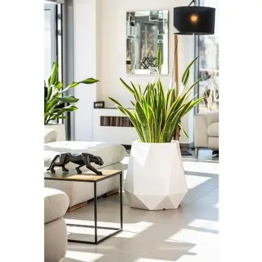 Blomsterpotte Flavi Lime (med Indre Hylle + Vann Drenering)