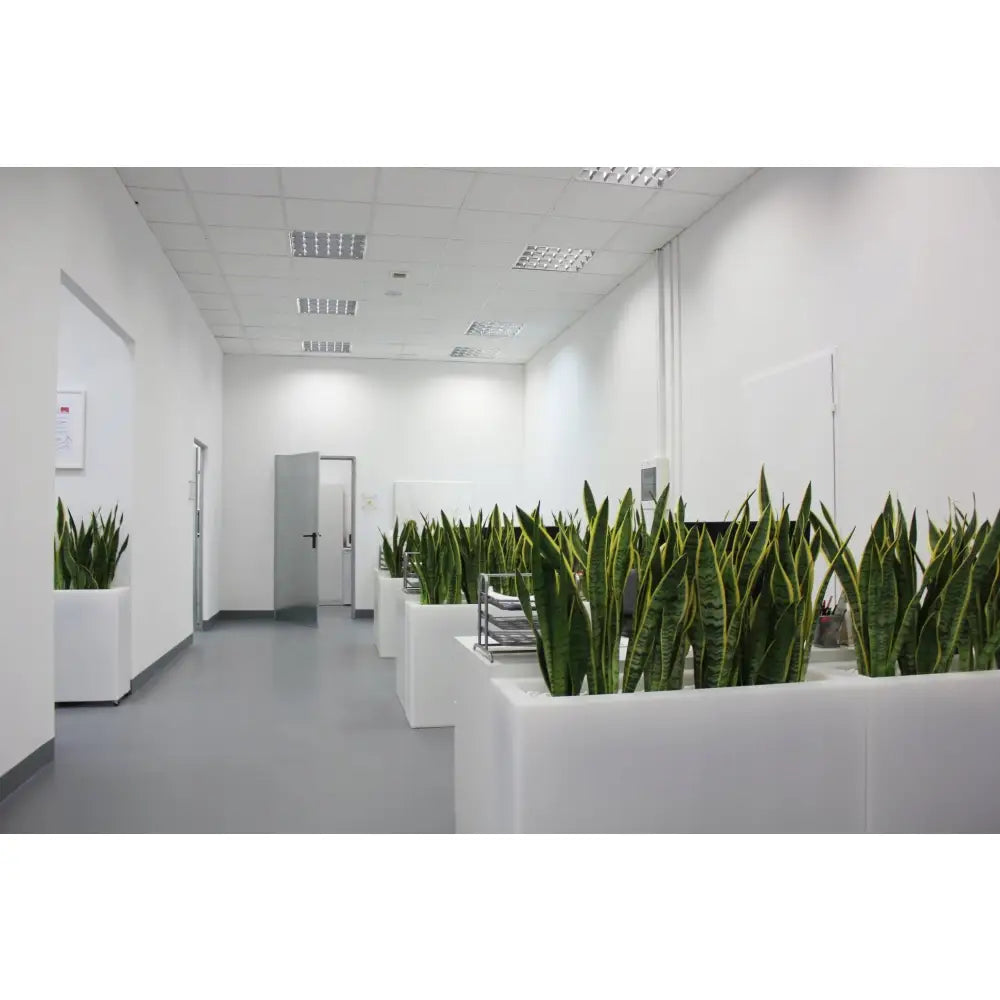 Blomsterpotte Lungo Grande Antrasitt (med Indre Hylle)