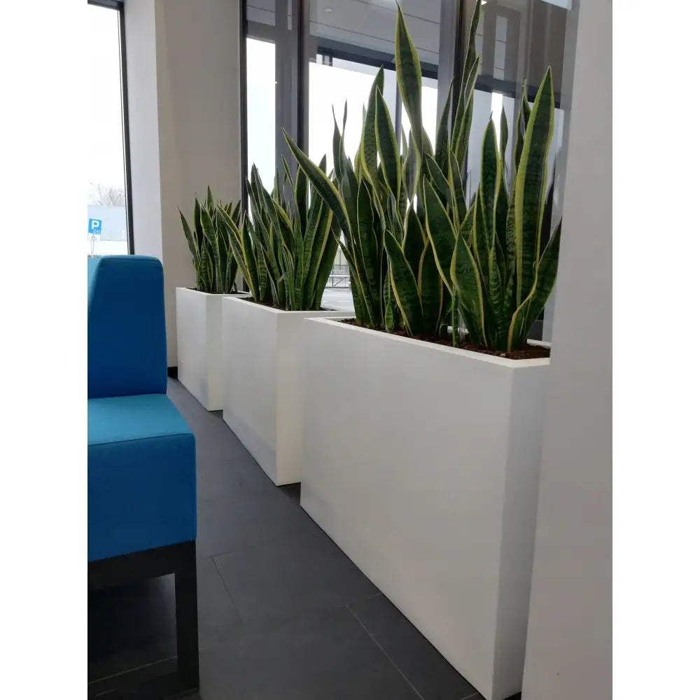 Blomsterpotte Lungo Grande Grå (med Indre Hylle + Vann Drenering)