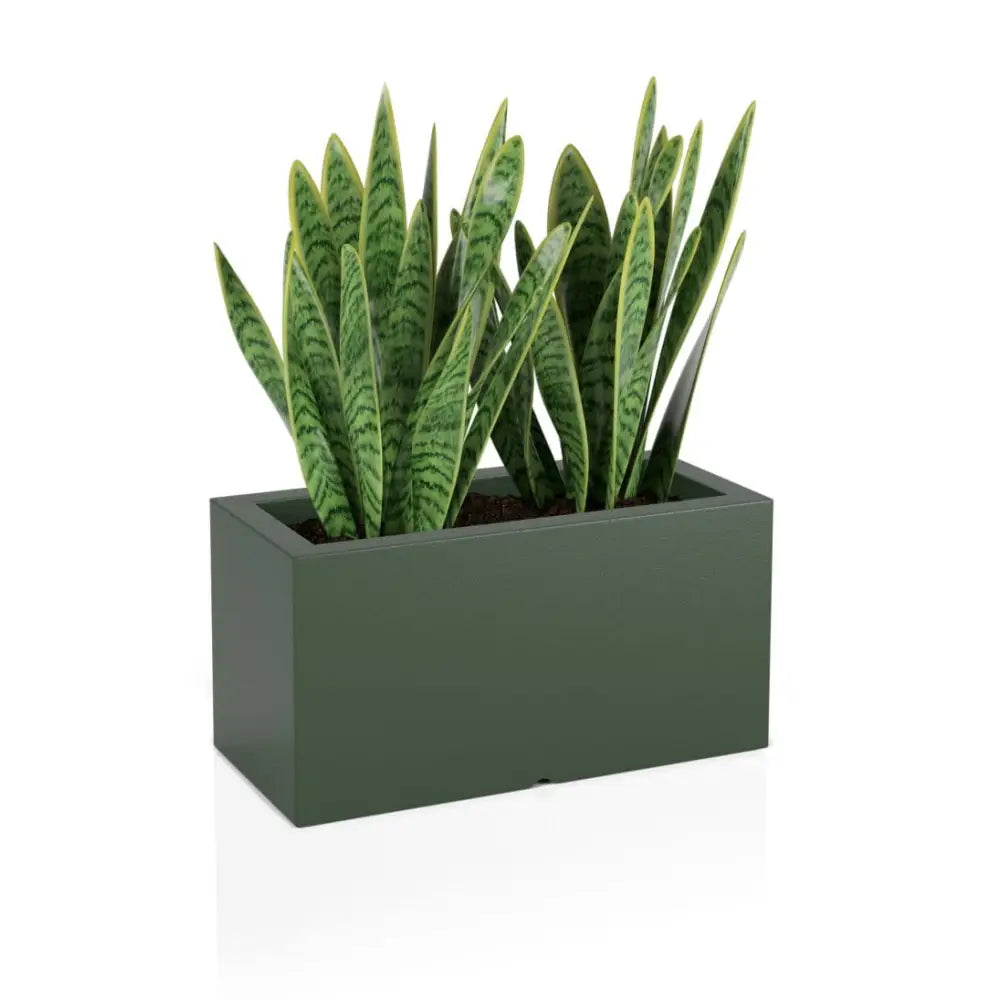 Blomsterpotte Lungo Grønn (med Indre Hylle)