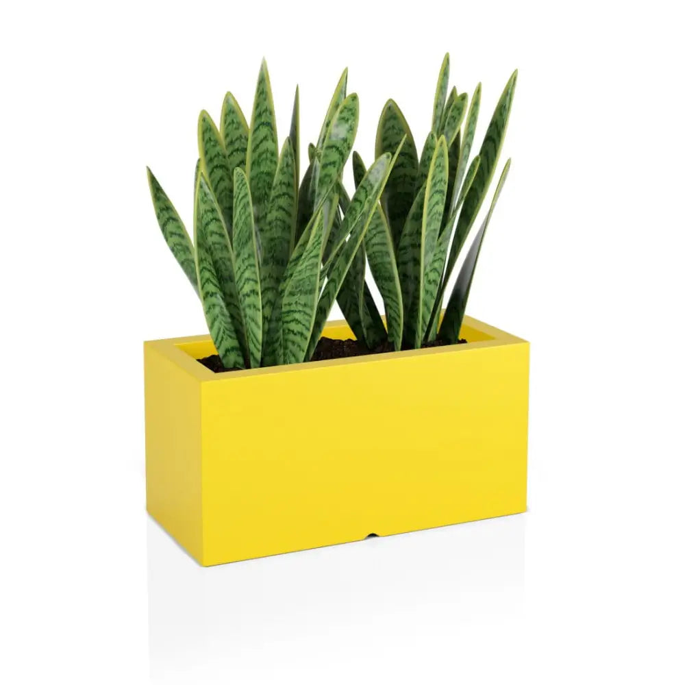 Blomsterpotte Lungo Gul (full Kapasitet + Vann Drenering)