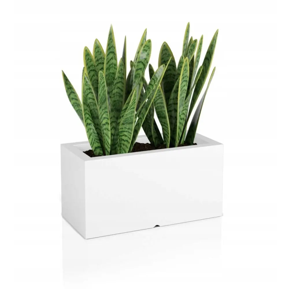 Blomsterpotte Lungo Hvit (med Indre Hylle + Vann Drenering)