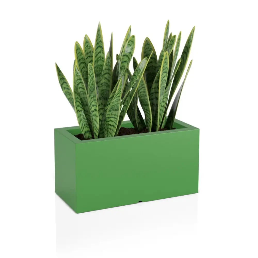 Blomsterpotte Lungo Lime (med Indre Hylle + Vann Drenering)