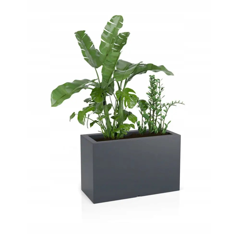 Blomsterpotte Lungo Maxi Antrasitt (med Indre Hylle + Vann Drenering)