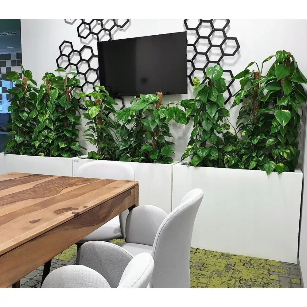 Blomsterpotte Lungo Maxi Hvit (med Indre Hylle + Vann Drenering)