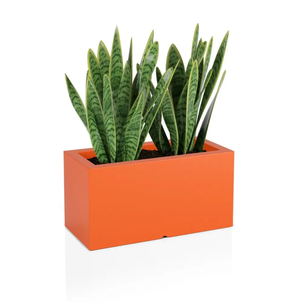 Blomsterpotte Lungo Oransje (med Indre Hylle + Vann Drenering)