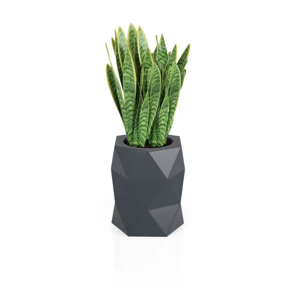 Blomsterpotte Modena Antrasitt (full Kapasitet)