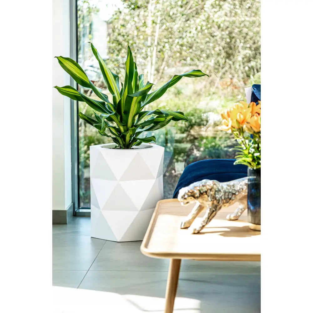 Blomsterpotte Modena Grå (full Kapasitet + Vann Drenering)