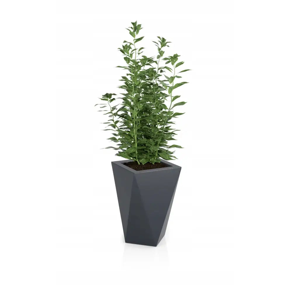 Blomsterpotte Vaso Antrasitt (med Indre Hylle + Vann Drenering)