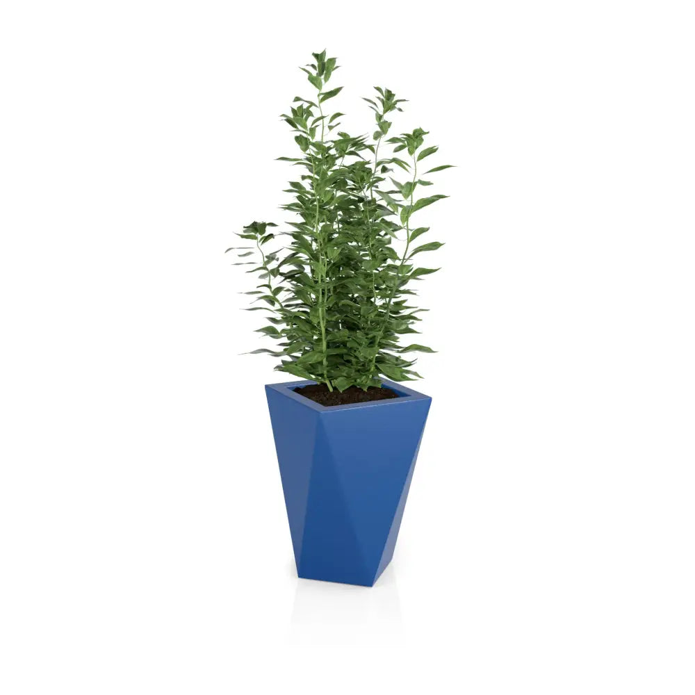 Blomsterpotte Vaso Blå (full Kapasitet + Vann Drenering)