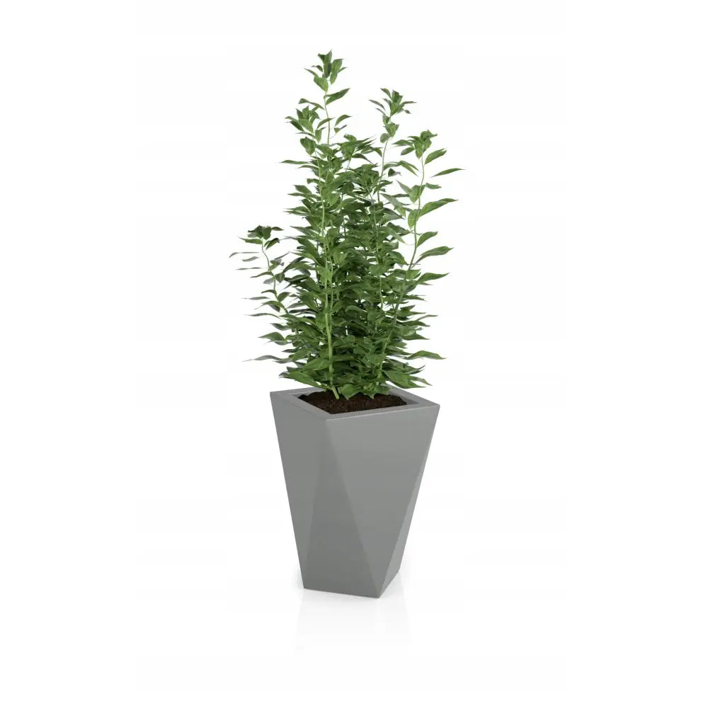 Blomsterpotte Vaso Grå (med Indre Hylle + Vann Drenering)