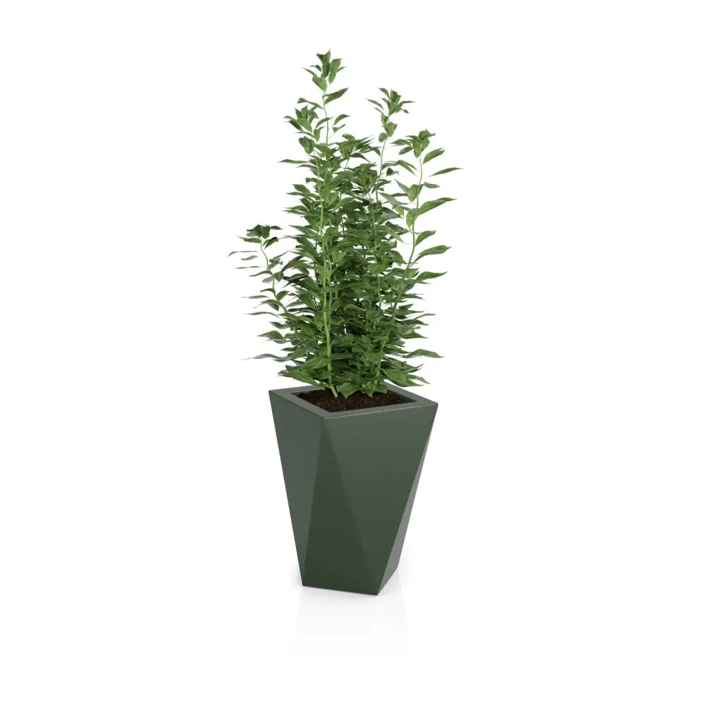 Blomsterpotte Vaso Grønn (med Indre Hylle + Vann Drenering)