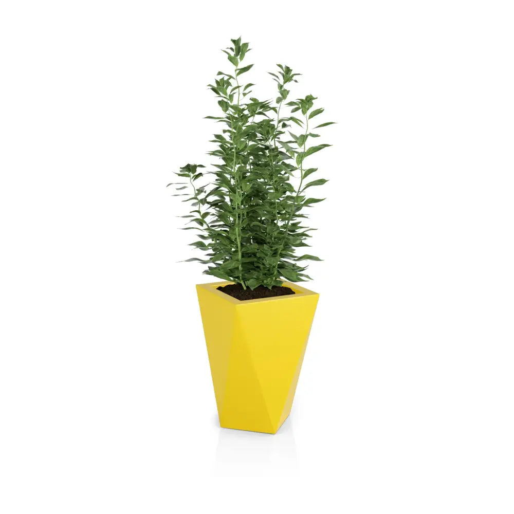 Blomsterpotte Vaso Gul (med Indre Hylle + Vann Drenering)